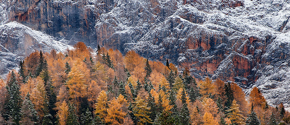 Pale San Martino