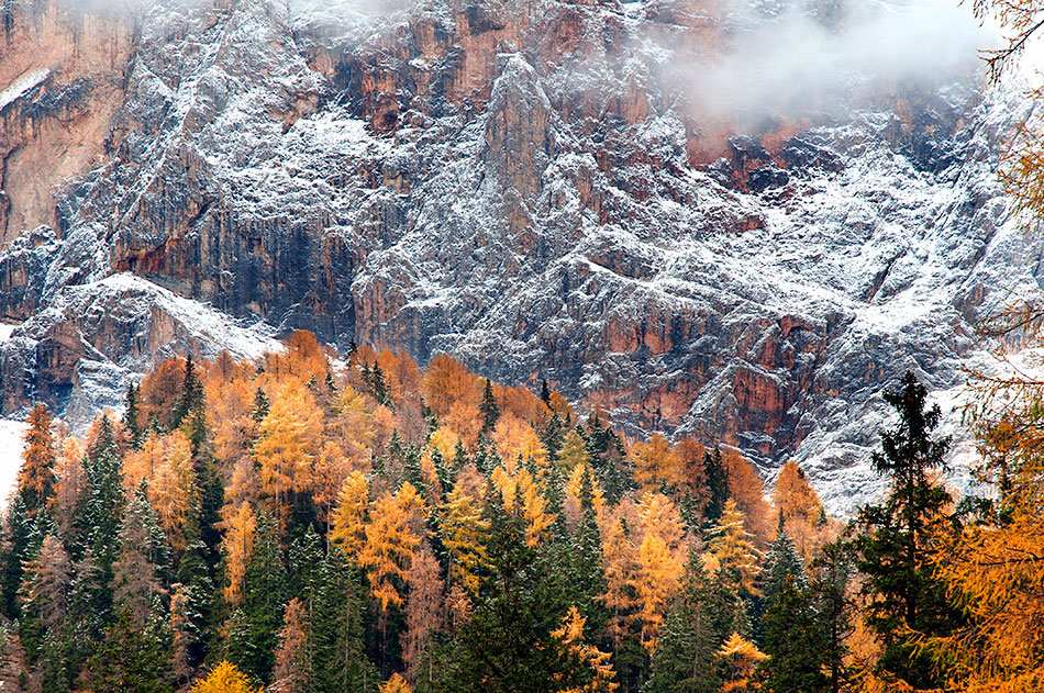 Pale San Martino