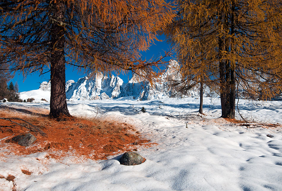 Pale San Martino