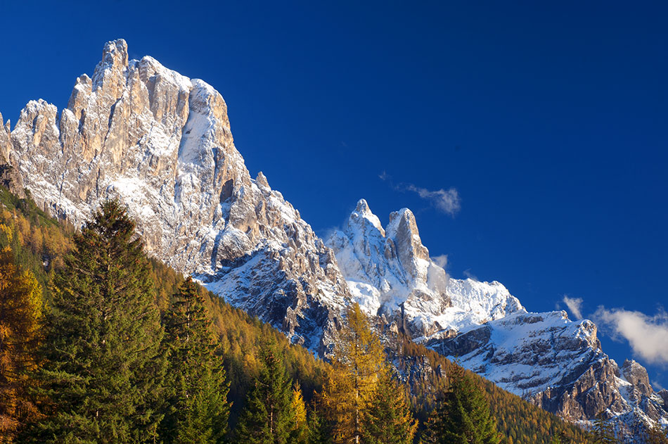 Pale San Martino