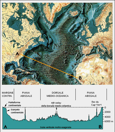 Dorsale Atlantica e profilo