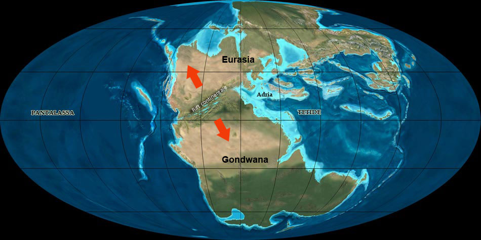 Pangea Triassica