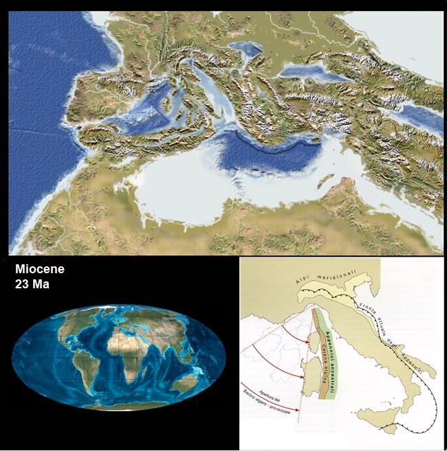 Italia nel miocene